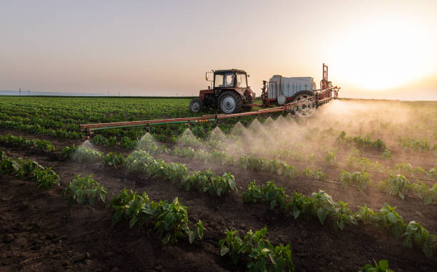 Best Pest Control for Businesses  in Eufaula, OK
