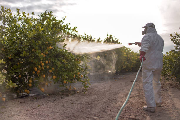 Best Pest Removal Services  in Eufaula, OK