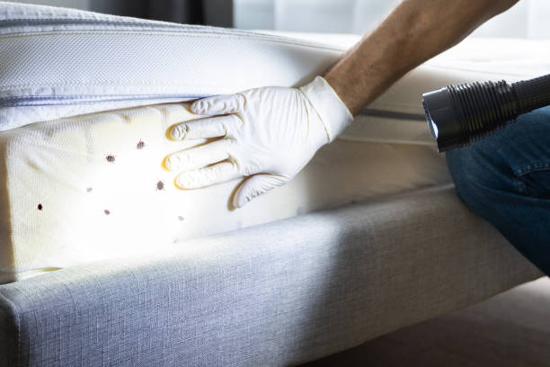 Best Mosquito Control Services  in Eufaula, OK