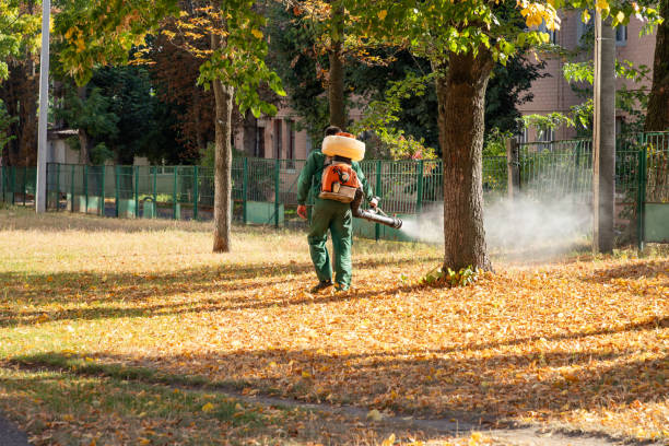 Best Wildlife Control Services  in Eufaula, OK