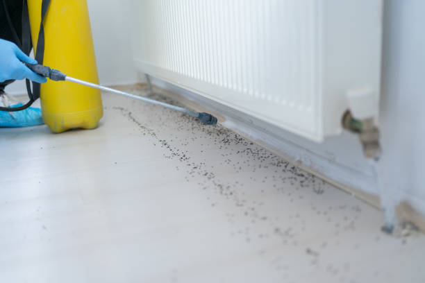 Best Best Pest Control Companies  in Eufaula, OK